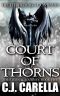 [The Eternal Journey 05] • Court of Thorns · A LitRPG Story